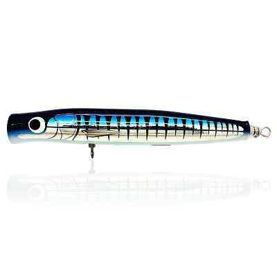 楽天市場】CARPENTER カーペンター ME Mini Eel ミニイール シングル