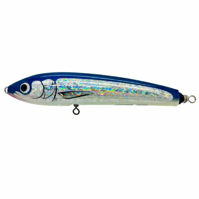 PLAT/carpenter blue fish bf100 200 nb h black back-Fishing
