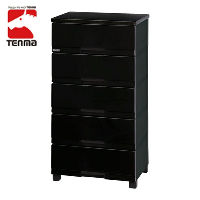 天馬 Fits フィッツプラス プレミアム FP5505 PR-BK 5段 プレミアムブラック 幅55cm (1台) 110012485