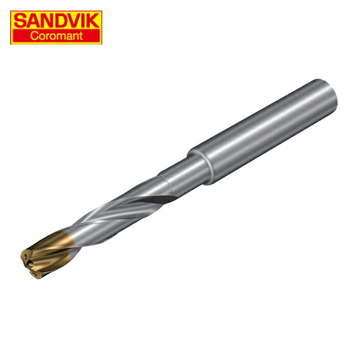 サンドビック SANDVIK 860.1-1000-029A1-GM (X1BM) コロドリル860‐GM 超硬ソリッドドリル(720) (1本)