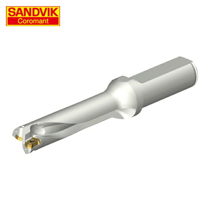 サンドビック SANDVIK DS20-D1700L20-04 コロドリルDS20刃先交換式ドリル(465) (1本)
