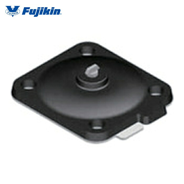 フジキン Fujikin BW1-25DF PTFE/BUTYLダイヤフラム (1個)