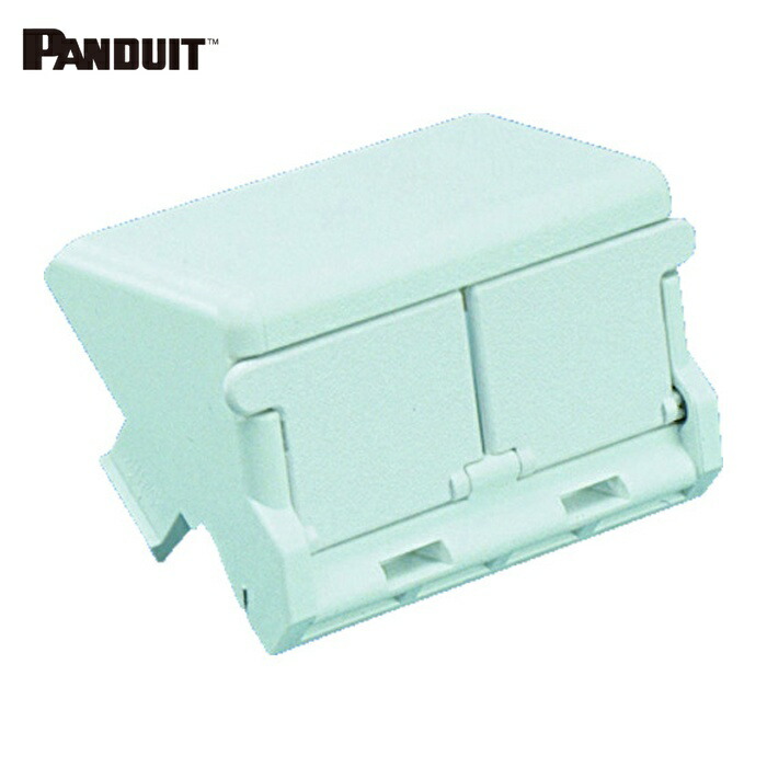パンドウイット PANDUIT CHS2SIW-X 1/2サイズ2ポート用傾斜型シャッター付きアダプタ枠(10個入) (1袋)