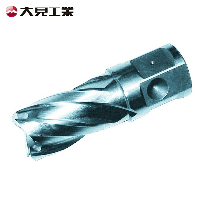 大見工業 HCSQ150 25SQハイスカッター 刃径15.0mm (1本)