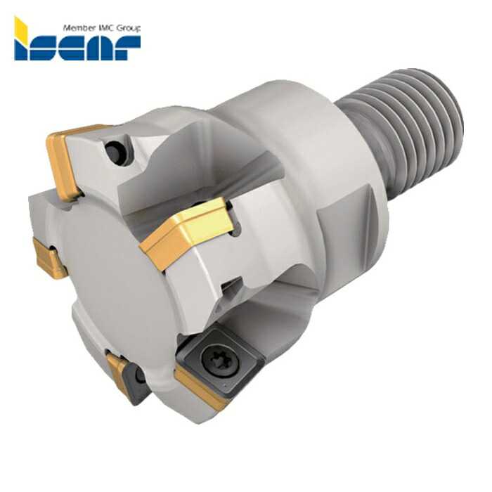 イスカル ISCAR FFQ4 D20-04-M10-06 エンドミルカッター 圧砕機4フィード FFQ4 D-M-06 (1個)
