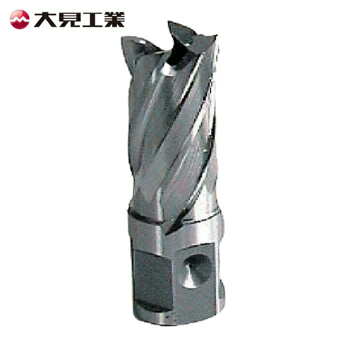 大見工業 HCSQ120 25SQハイスカッター 12.0mm (1個)
