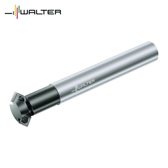 ワルター Walter M4574-025-A25-02-07 面取りカッタ ボディ 45°タイプ (1本)