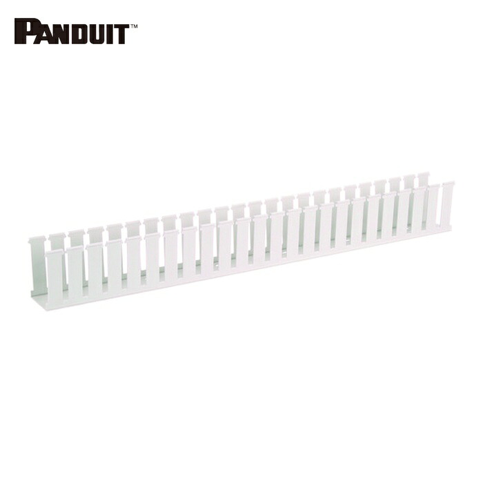 パンドウイット PANDUIT NE2X1WH6 NEタイプ配線ダクト(変性PPO製・ノンハロゲン) 白 54.4×26.9×1830 NE2X1WH6 6FT(フィート) 1本 (1本)