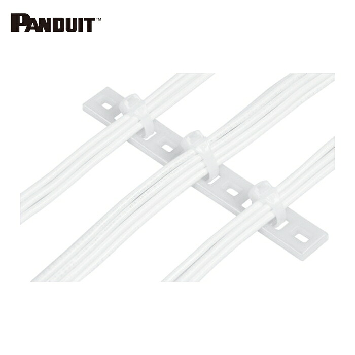 パンドウイット PANDUIT MTP6H-E10-C 固定具 マルチタイプレート(100個入)横243.6固定M5ねじ (1袋)|工具ランドこだわり館