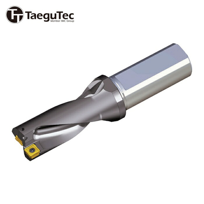 テグテック TAEGUTEC TOP 2295-32T2-09 刃先交換式ドリルホルダー トップドリル (1本)
