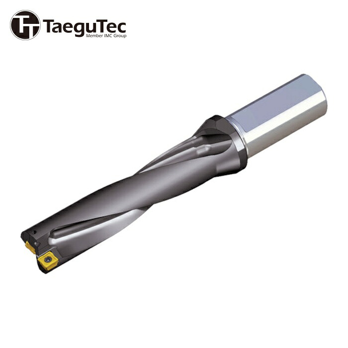 テグテック TAEGUTEC TOP 4310-32T2-09 刃先取り替えっこ式せん孔機保持者 いの一番せん孔機 (1本)