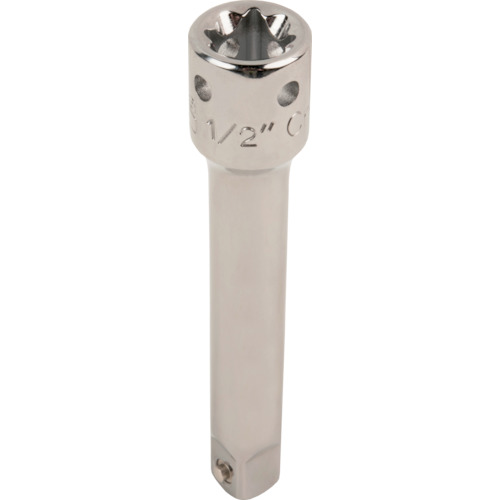 バーコ BAHCO TAH8162 エクステンションバー 高所作業向け 1/2 全長250mm (1個)