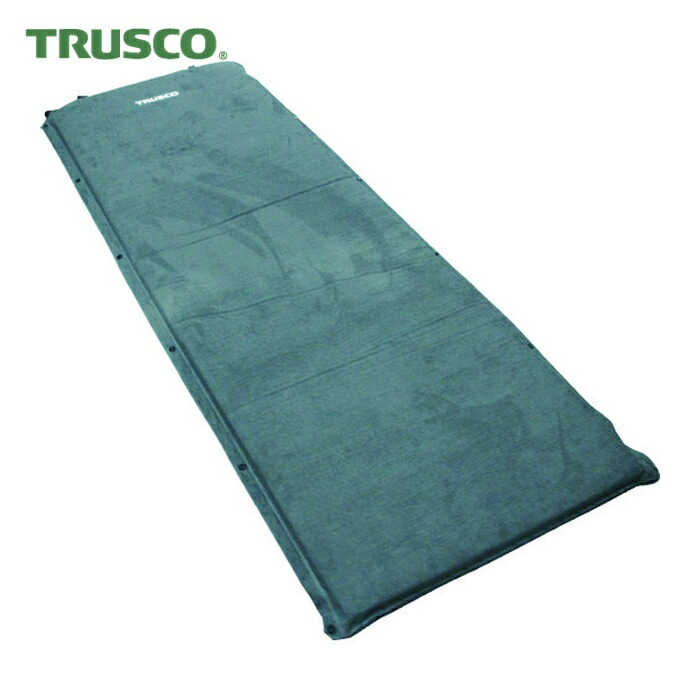 トラスコ TRUSCO 大気圏つや消し 薄墨色 66X188X5糎 (1枚) TAIRM-GY