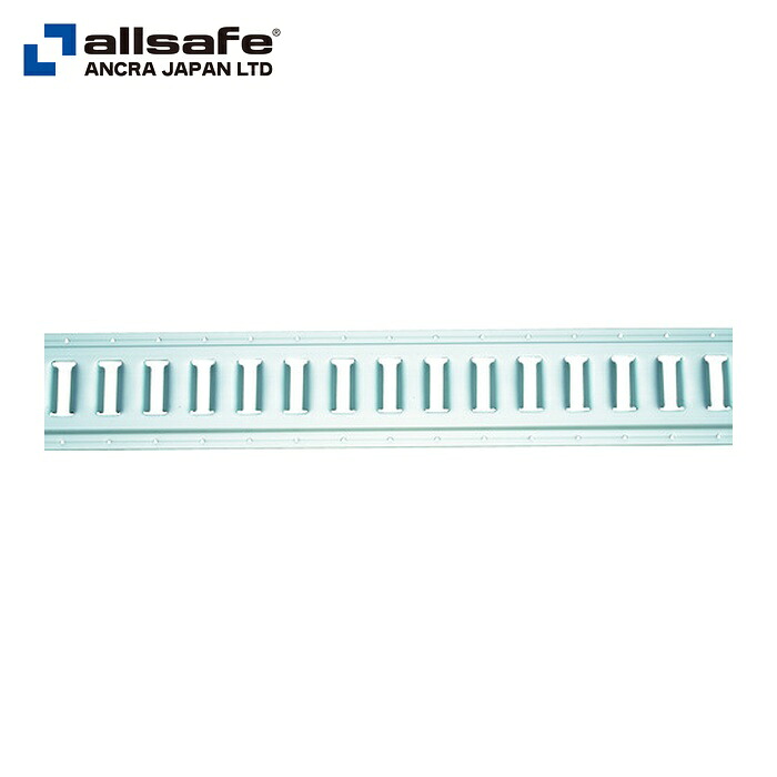allsafe オールセーフ TR-S-ALH 軽銀軌跡 穴有 5φ (1本)
