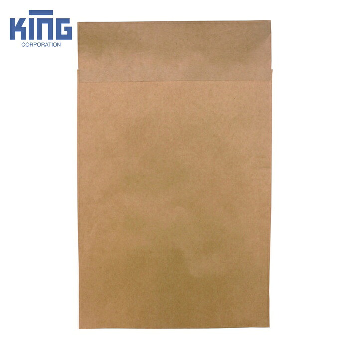 キング KING ポストイン定形外封筒 未晒100g/平方m 枠ナシ 190411 100枚 (1箱) 190411