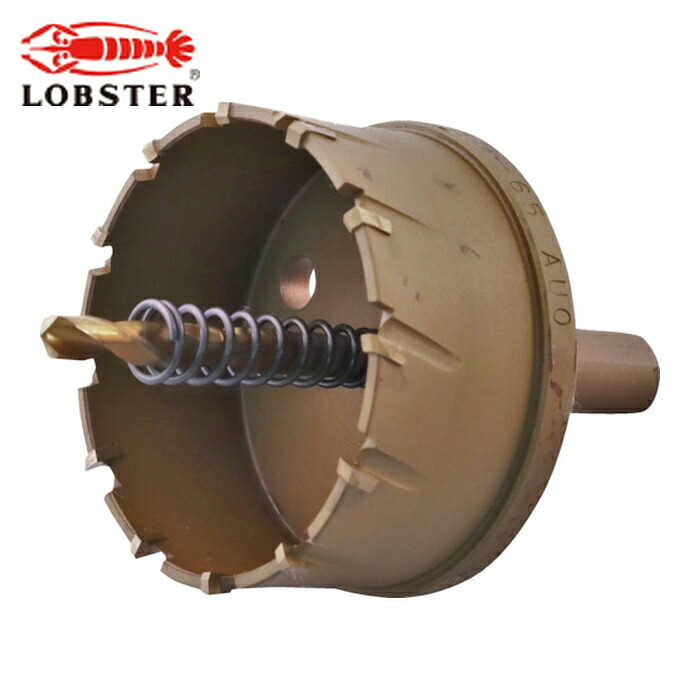 エビ ロブテックス HO65G 超硬ホルソー(チタンコーティング) 65mm (1本)