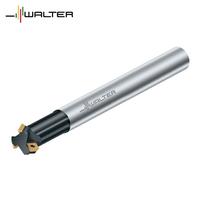 ワルター Walter M4574-020-A20-02-05-60 面取りカッタ 上半身 60°手あい (1本)