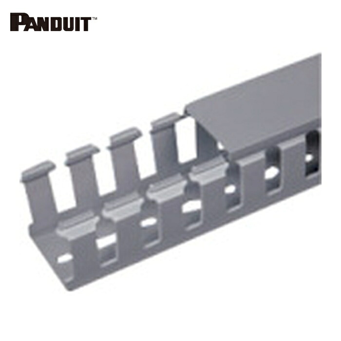 パンドウイット PANDUIT NNC37X37LG2 NNCタイプ配線ダクト変性PPHOX製ノンハロゲンライトグレー37.1×35.6 2M(メートル) 1本 (1本)