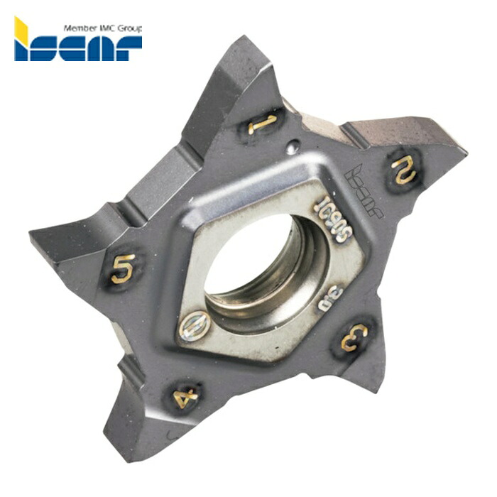 イスカル ISCAR PENTA 24N200PF020 (IC30N) ペンタカット チップ PENTA 24N-PF/P (5個)