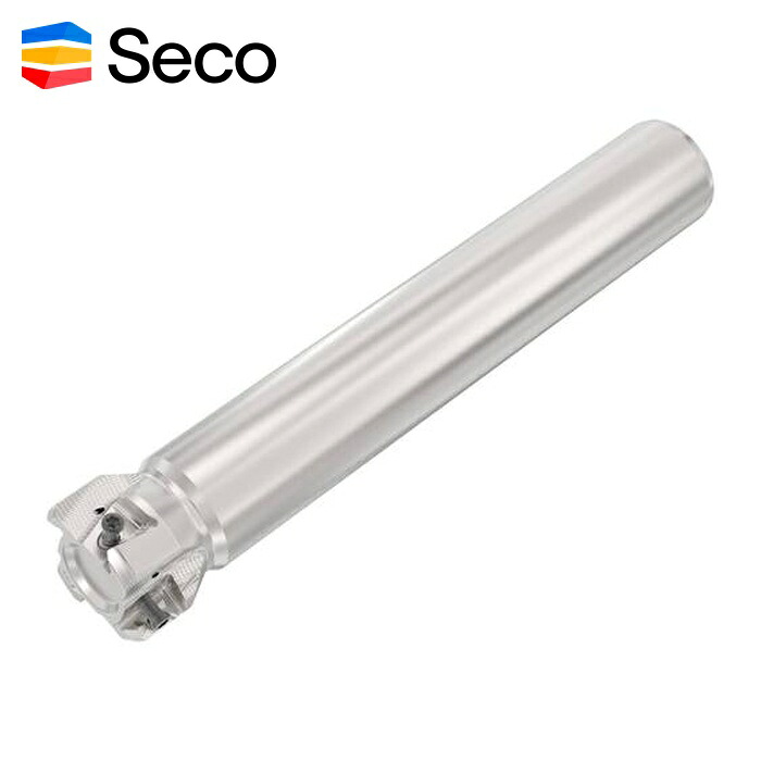 セコ SECO R217.94-3240.0-LO12-4A SquareT4ーR217/220.94-12 米突遣りかた (1個)