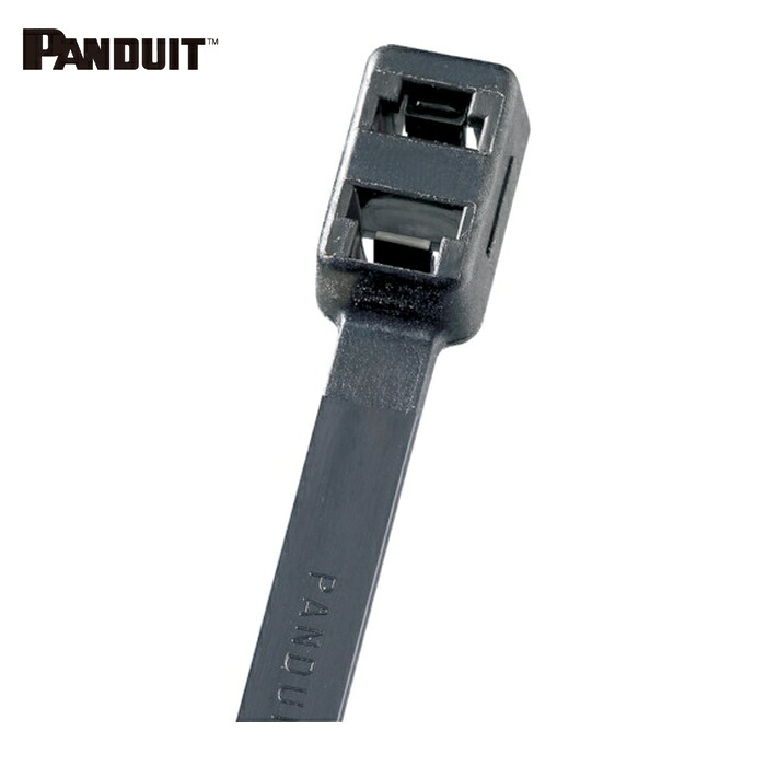 パンドウイット PANDUIT PLB2S-M30 ダブルループ結束バンド 耐熱性黒 4.8×193×1.3 (1000本入) (1袋)