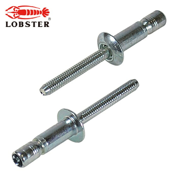 エビ ロブテックス SNS64159 高強度ブラインドリベット Sボルト(丸頭) Φ6.4/板厚15.9mm (250本入) (1箱)