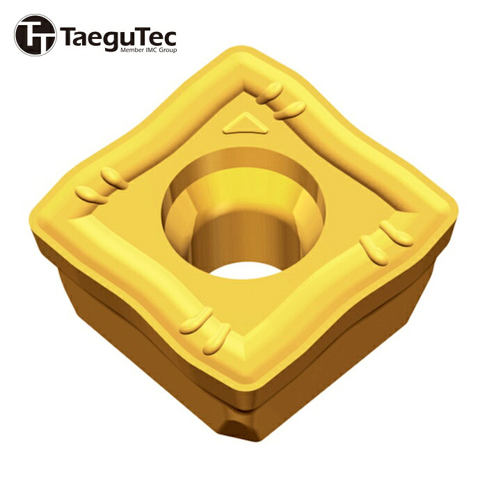 テグテック TAEGUTEC SOMT 09T308 DK     TT6080 刃先取り替えっこ式せん孔機用手当て とっ始めせん孔機 (10個)