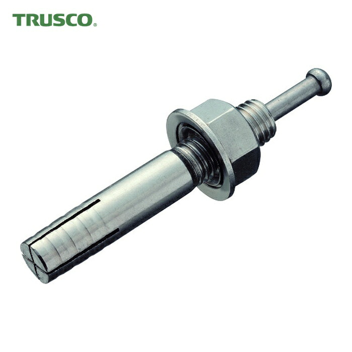 トラスコ TRUSCO オールアンカーSCタイプ ステンレス M16X190 2本入 (コンクリート用アンカー/芯棒打込み式 ) (1Pk) SC-1619BT