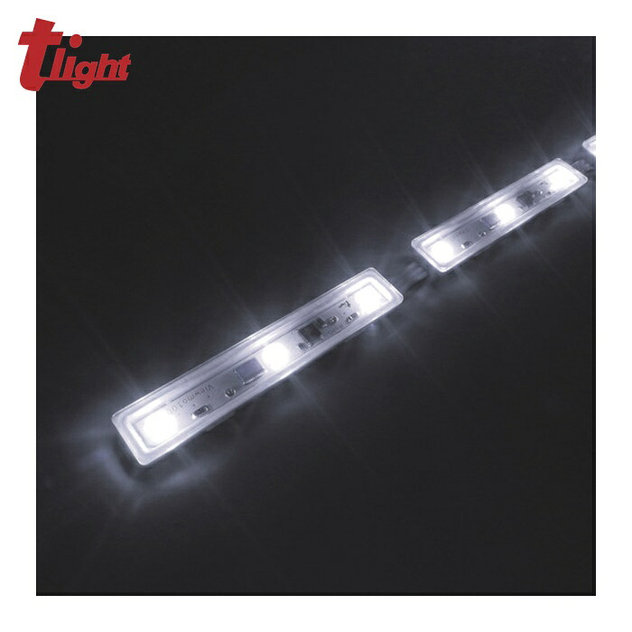 トライト tlight LEDモデュール Viewmo100 AC100V 6500K L4000 (1本) TLVMA651-33P-040-WWC 作業灯・投光器-花・ガーデン・DIY
