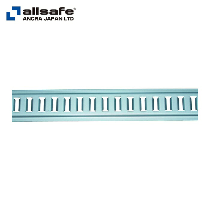 allsafe オールセーフ TR-S スチール写真線路 穴無 (1本)