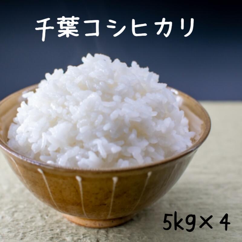 お米　２０キロ　白米　いわてっこ 楽天市場】米 20kg 精米 6年産 岩手県産 いわてっこ 白米20kg