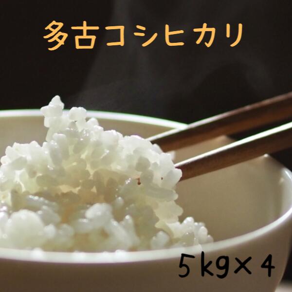 楽天市場】多古米 コシヒカリ 令和5年産新米！米5ｋｇ送料無料 無洗米