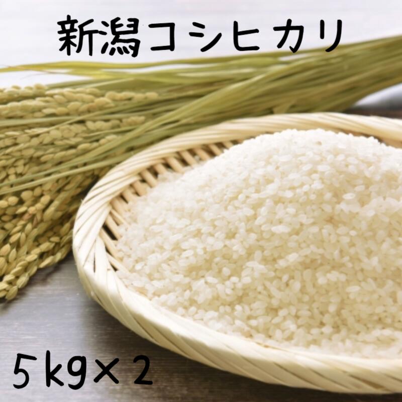 くず米２４キログラム令和6年産 imgrc0125565920.jpg