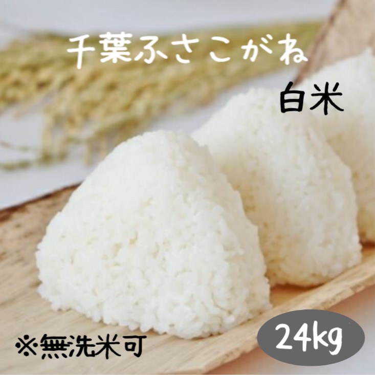 米　24ｋｇ　白米　送料無料　千葉ふさこがね　　令和６年産　無洗米加工・小分けは別途オプション購入でつけられます　送料無料(北海道九州は別途300円沖縄離島は別途500円)