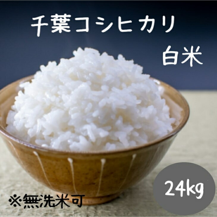 米　24ｋｇ　白米　送料無料　千葉コシヒカリ　新米　令和６年産　無洗米加工・小分けは別途オプション購入でつけられます　送料無料(北海道九州は別途300円沖縄離島は別途500円)