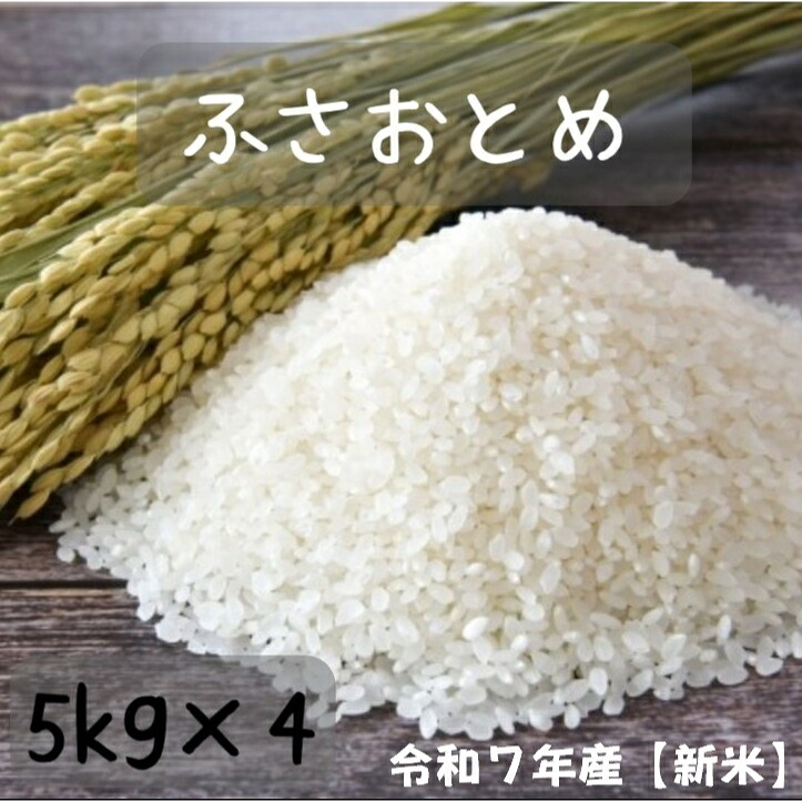 雛　30kg 白米 楽天市場】ななつぼし 玄米30kgの通販