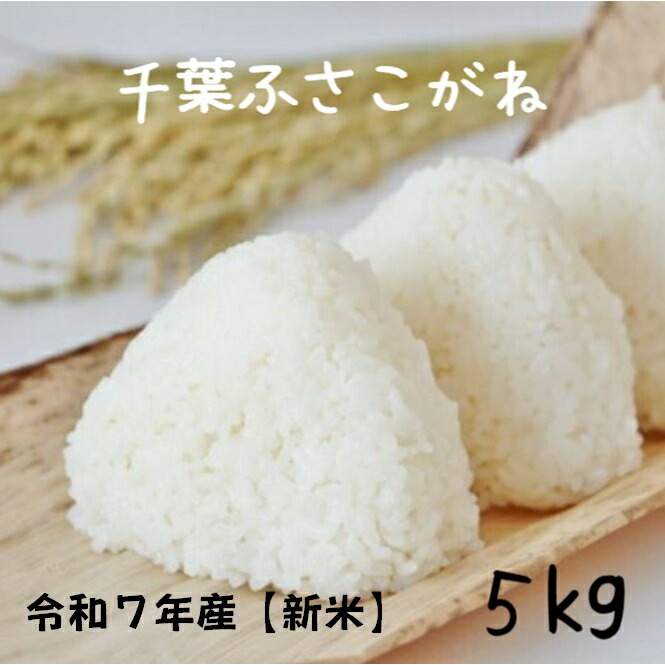 令和６年新米千葉県産ふさこがね１０キロ E01-A01 【令和6年産】長生産ふさこがね（白米16kg）令和6年産