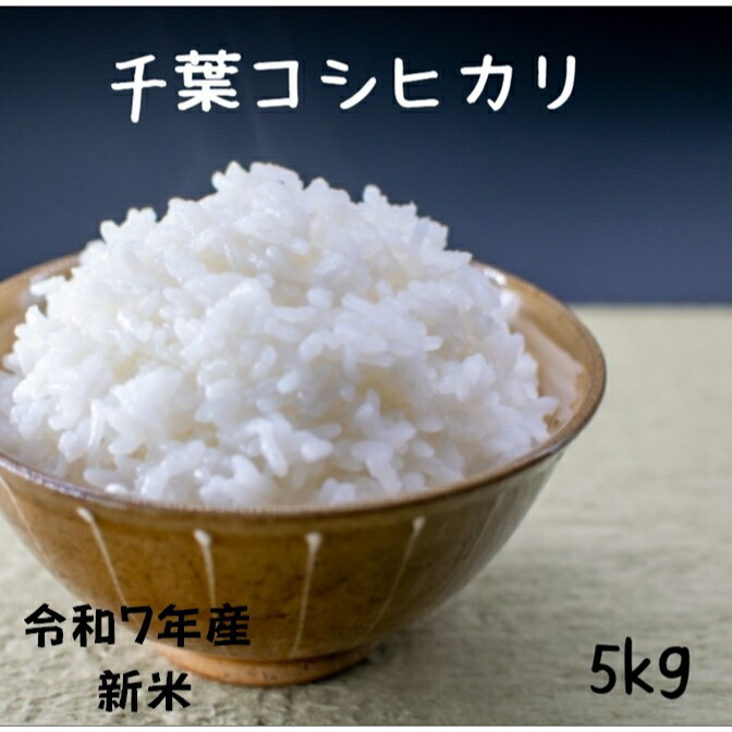 R５年産低タンパク米 低グリテリン米 LGCソフト 白米10kg×2 検査１等 LGCソフト5kg 静岡県袋井市周辺で収穫