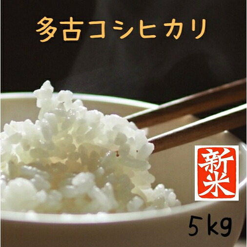 令和6年度千葉県産コシヒカリ 多古米 10kg