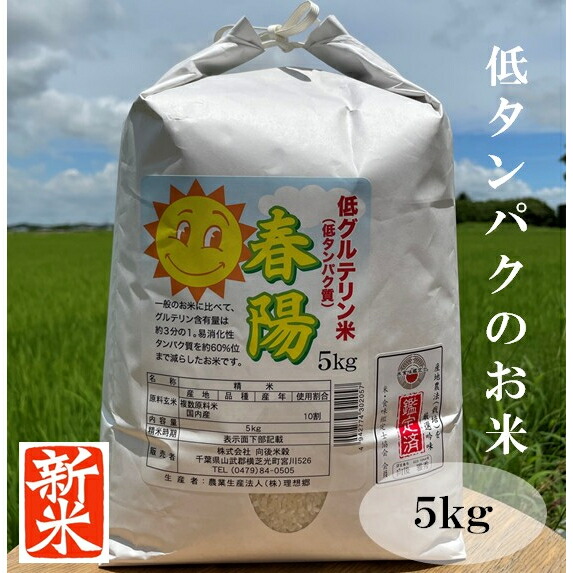 楽天市場】低タンパク米 低たんぱく米 白米10kg 新米 春陽 令和7年