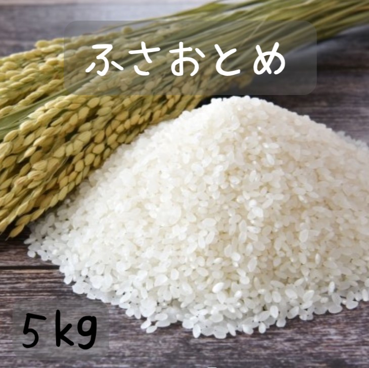 楽天市場】低たんぱく米 低タンパク米 春陽 5kg 令和6年新米