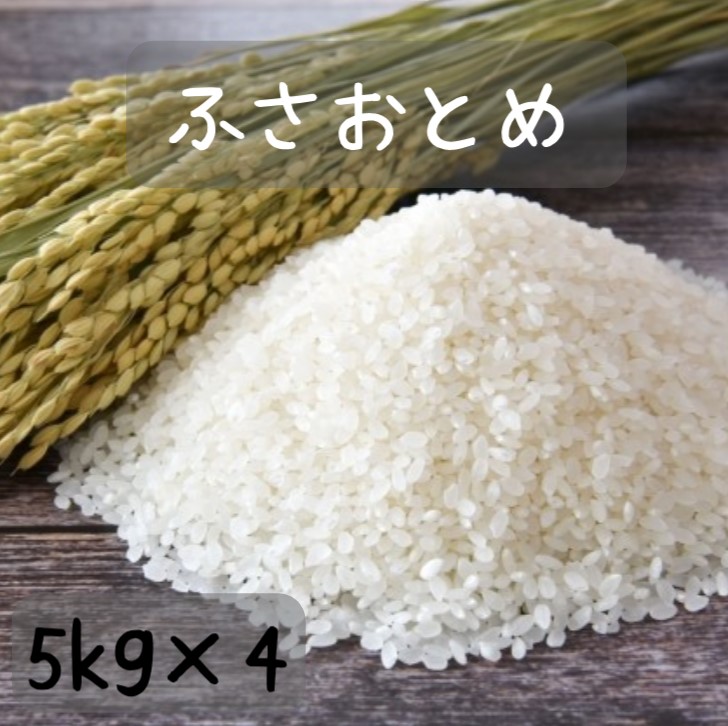 米　20ｋｇ　送料無料　令和６年産　大特価！千葉県産ふさおとめ<br>白米 ５kgｘ4<br>【送料無料】（北海道、九州、離島を除く）