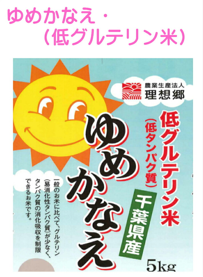 楽天市場 令和２年 千葉県産 ゆめかなえ 低グルテリン米 白米 10kg 5ｋｇ 2袋 お米の向後米穀楽天市場店