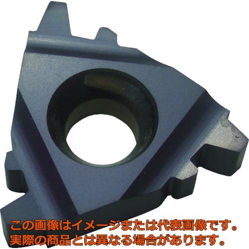 ＮＯＧＡ 16IR16WBMA カーメックスねじ切り用チップ 10個入 Carmex