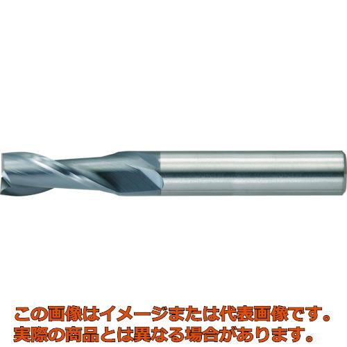 テレビで話題】 富士元 60°モミメン専用チップ (D43GUX) 12個 ...