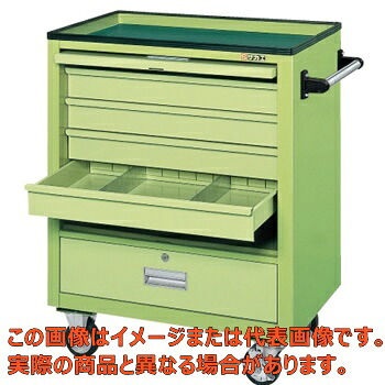エスエスワゴン ＳＳ－Ａ４Ｎ【代引不可・送りとどける日付け特定化不可・人間宅不可】 花・ガーデン・DIY-研究・実験用品