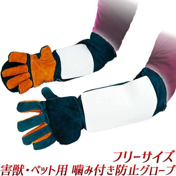 楽天市場】【ショート丈】猛禽用ファルコングローブ【S〜Lサイズ