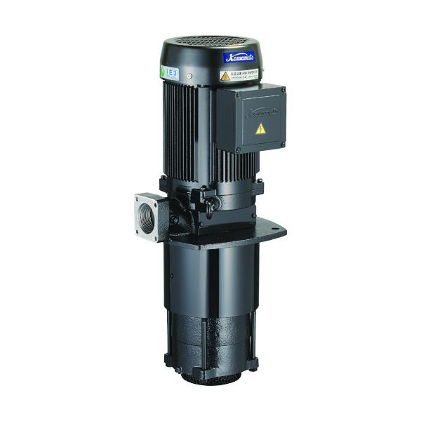川本 浸漬式多段クーラントポンプ 0.75kw 全揚程5m RCD-40AE0.75≪店卸し資産境界線≫