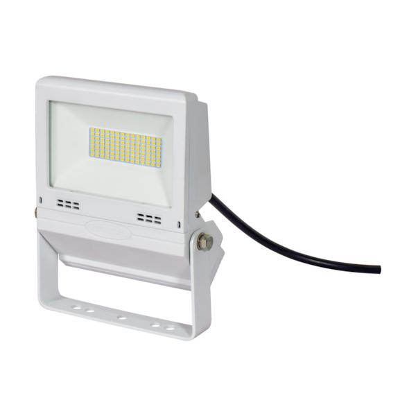 NICHIDO LED写真用照明 常設用滑っこい点火装置30W 白 LJS-FH30D-W-50K