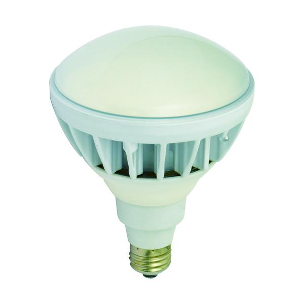 NICHIDO LED取り替えっこ球 ハイスペックエコビック20W E26 昼白いこと L20W-JW110-50K